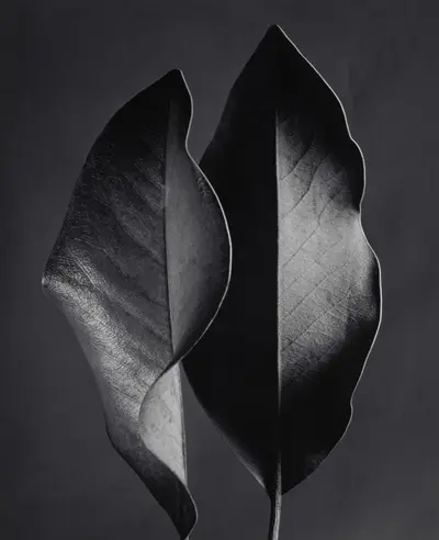 October 14 – image 8 of 39