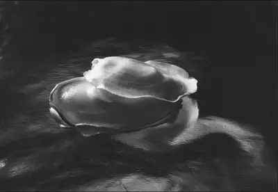 October 14 – image 33 of 39