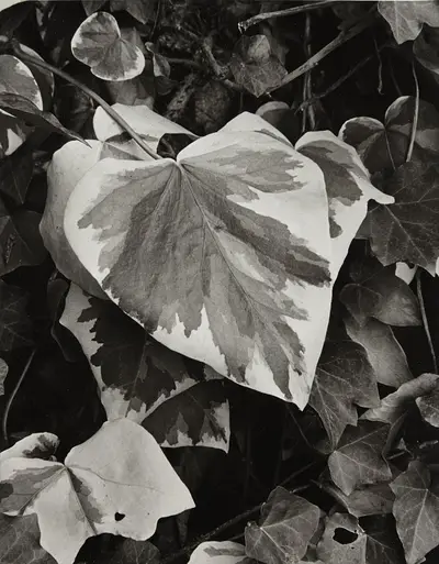 October 16 – image 7 of 51